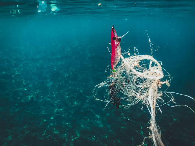 Aktion "Geisternetze aus der Nordsee bergen" mit Ghost Diving Germany e.V.